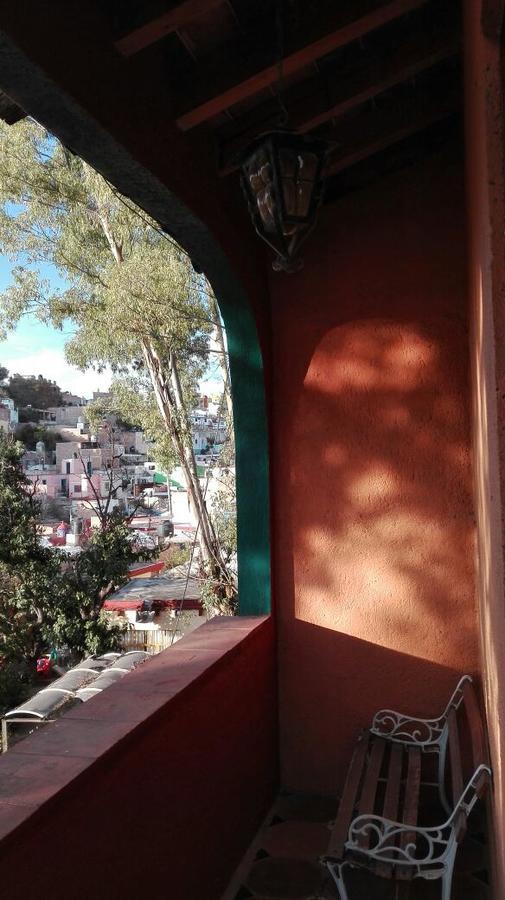 Pipila Guanajuato